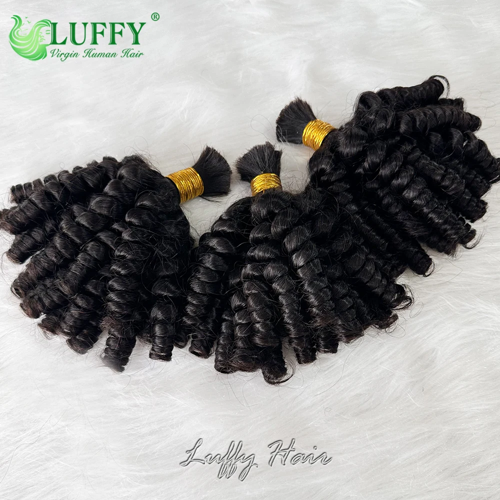 Funmi Curly Human Hair Bulk for Braiding Funmi Human Hair Bundles No Weft Double Drawn Birmese Hair Bouncy Curly for Boho Braids