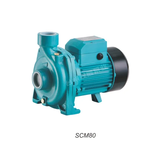 005 Bombas de agua centrífugas eléctricas estándar de 2 CV