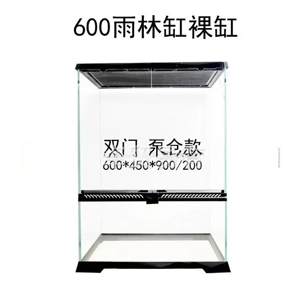 

Lizard, climbing pet, reptile, palace guard, feeding box