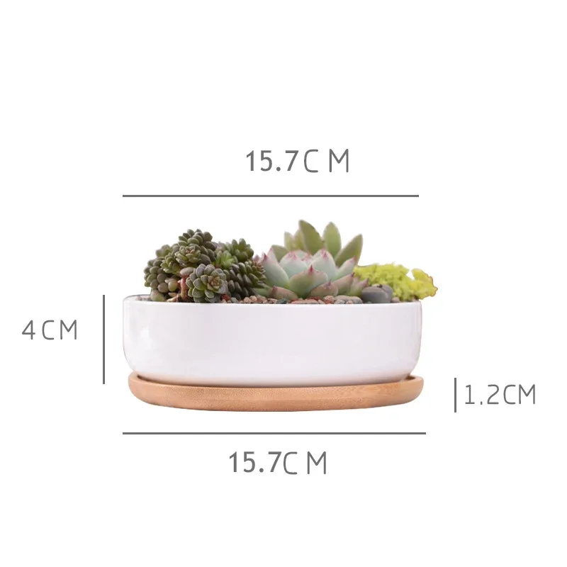 Round White Ceramic Succulent Planter Pot Decorative Cactus Plant Pot Flower Container with Bamboo Tray Home Office Decoration