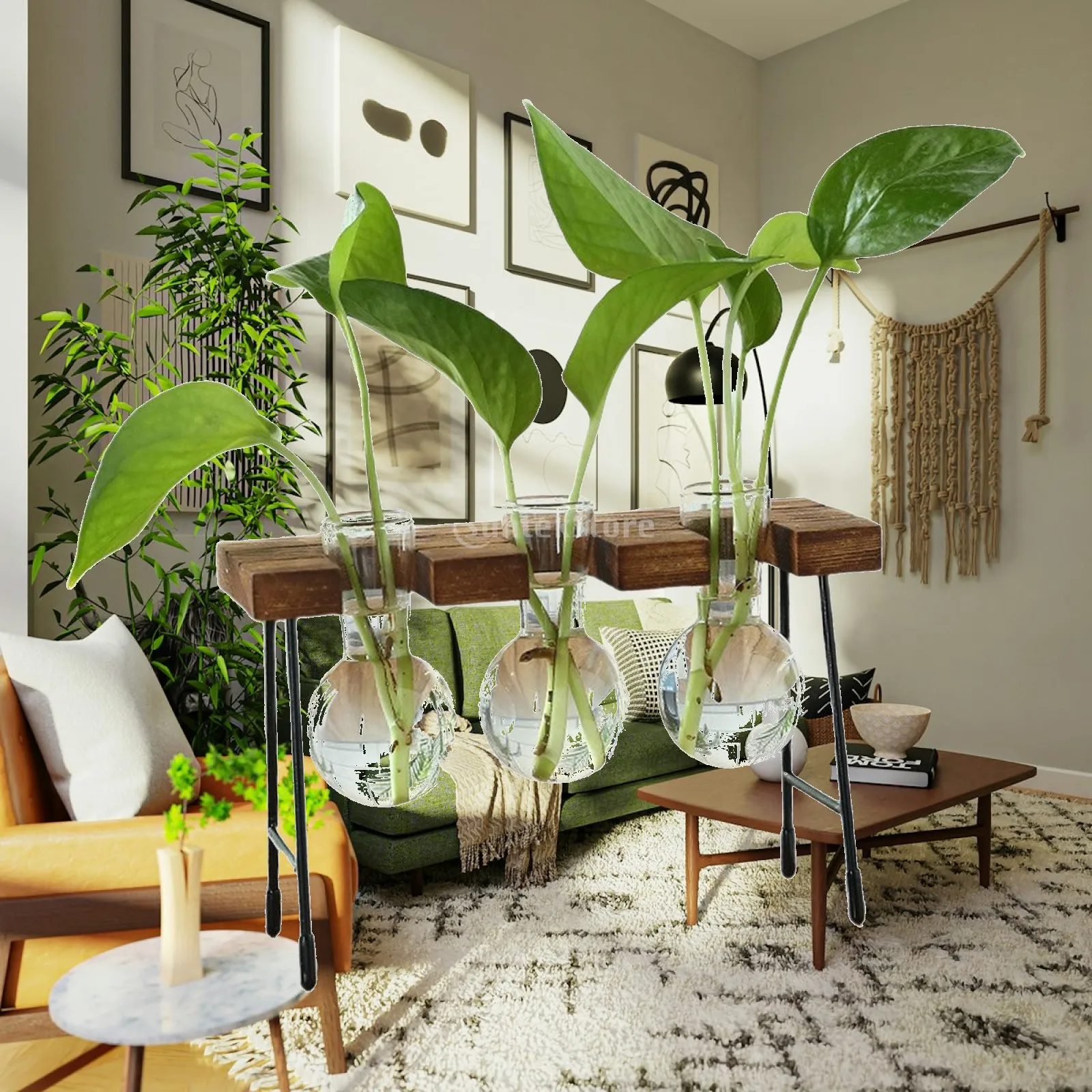 Glass Vase for Flowers Hydroponic Plant Propagation Jar with Wooden Frame for Room Decoration Vases