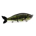 H BASS