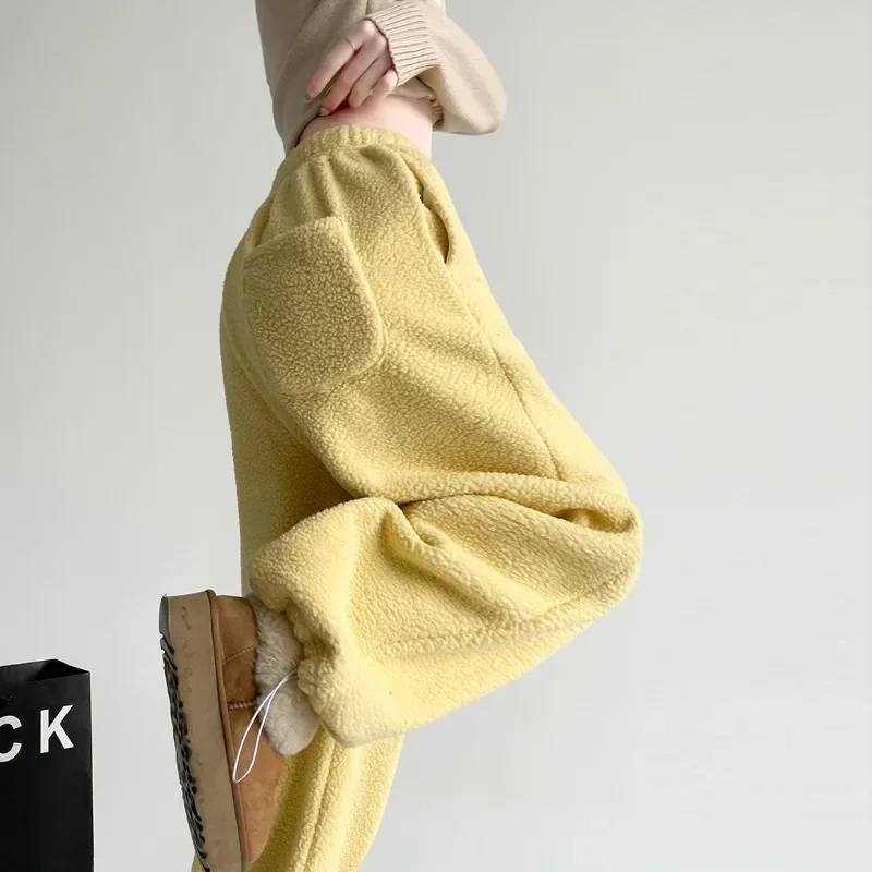 Women's  Wide-Leg Pants Winter 2025 New Style Double-Sided Fleece High-Waist Loose Straight-Leg Pants Warm Casual Pants