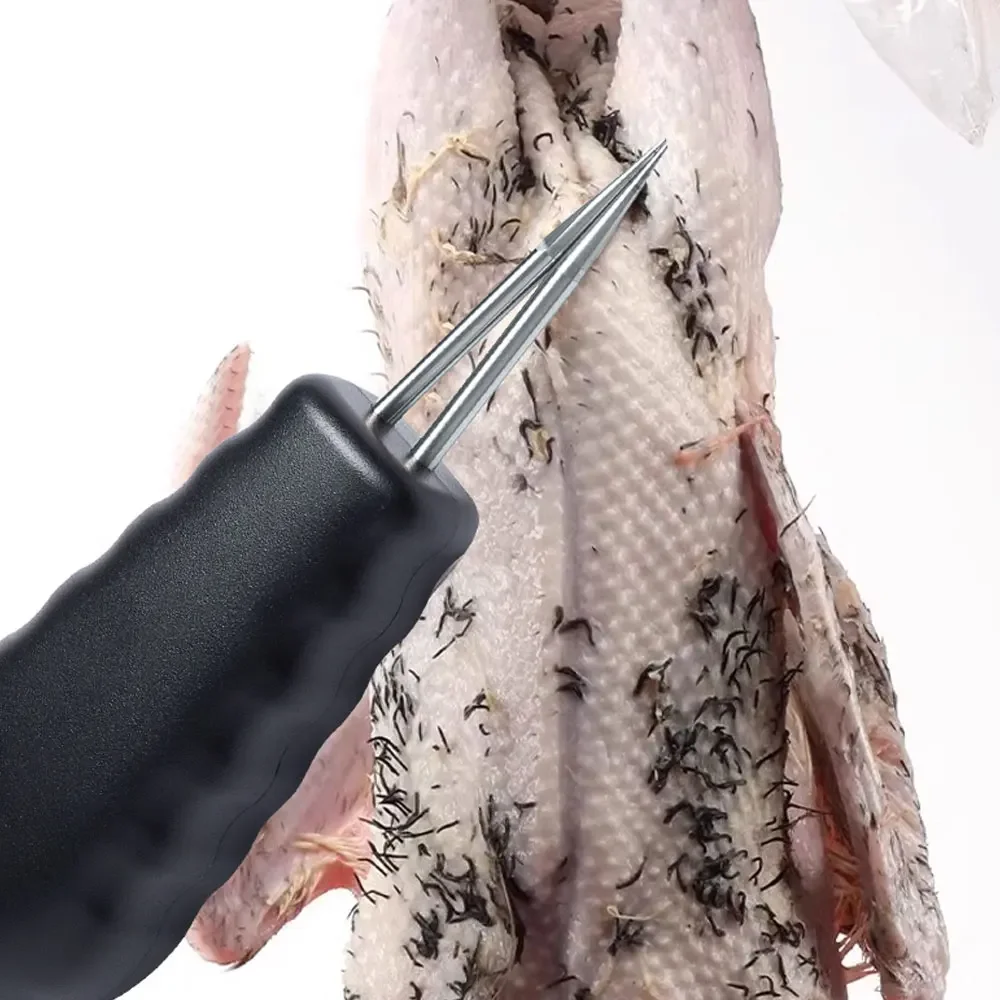 Electric Quick Chic…