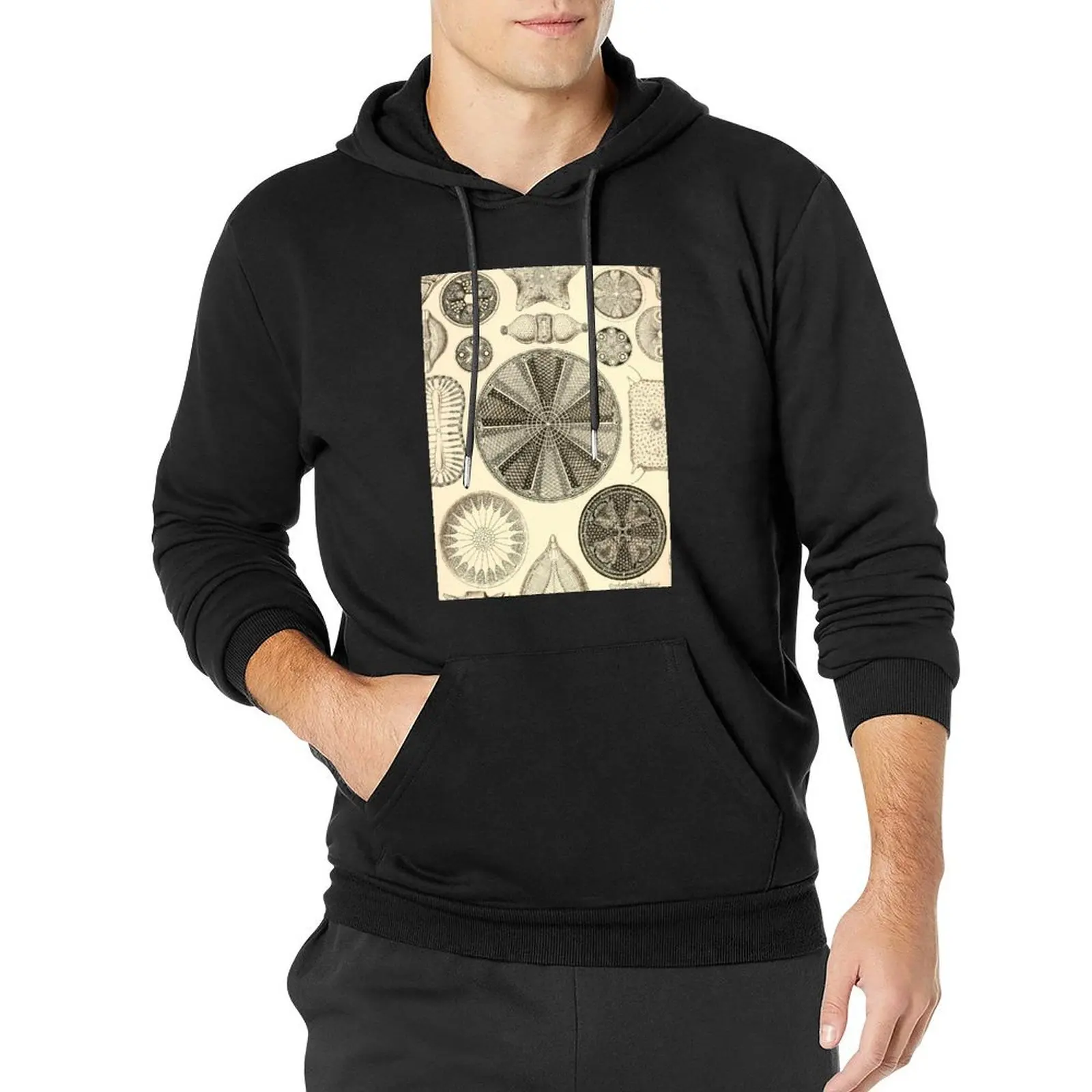 Diatomea - Ernst Haeckel Pullover Hoodie anime clothing designer hoodies