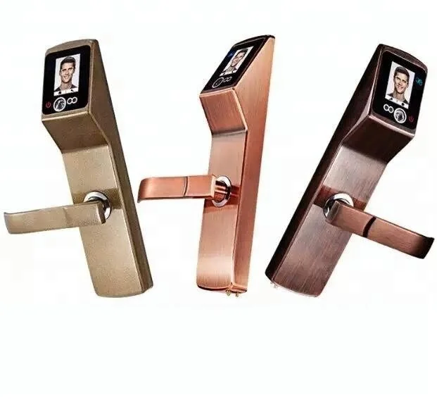 Cerradura de puerta con reconocimiento facial y tarjeta inteligente de alto nivel