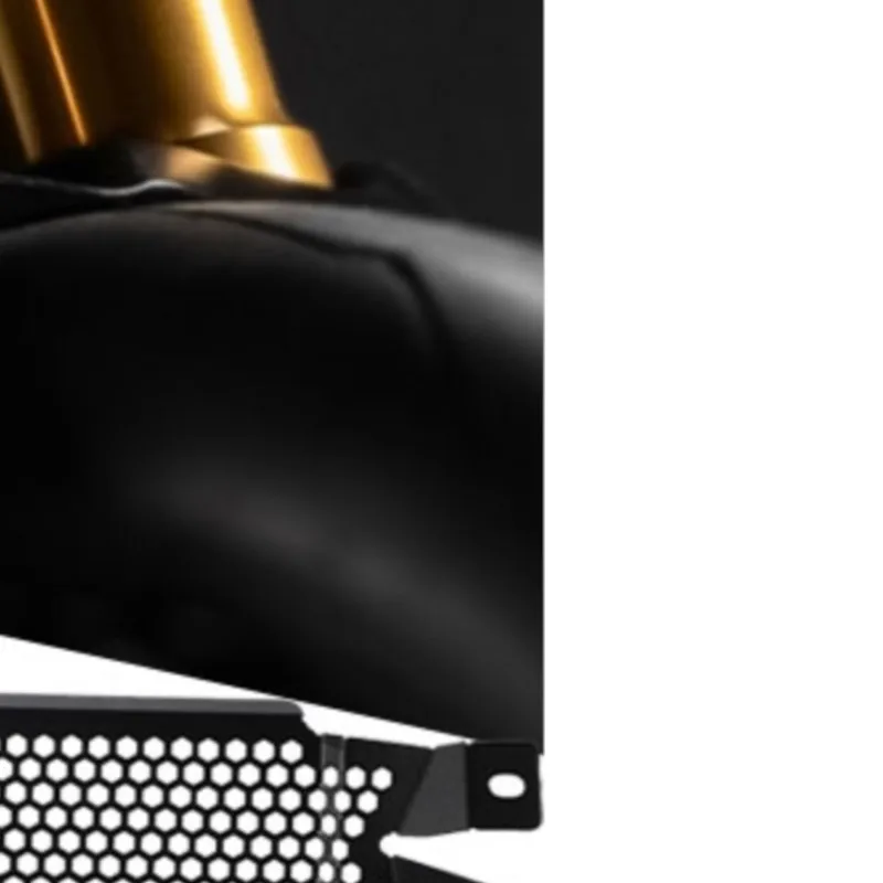 

For Ducati Hypermotard 698 / Mono / MONO RVE 2024 2025 2026 Motorcycle Radiator Guard Grille Protector Cover Water Tank Shields