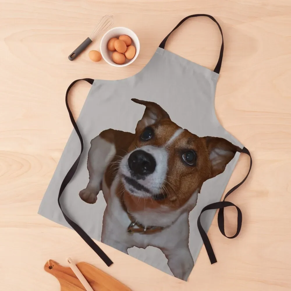 

Jack russell terrier Apron Kitchen For Man restaurant accessories Apron