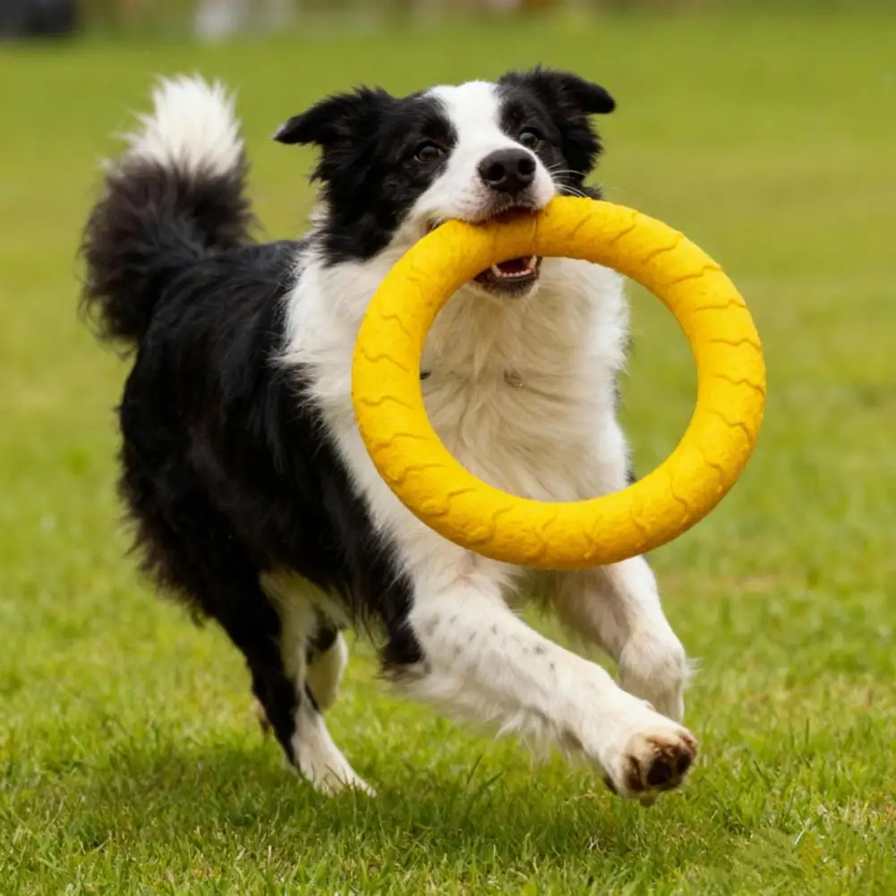 

Dog Fetch Toy,Waterproof Flying Disc,Dog Training Flyer Interactive Outdoor Tug Ring for Large Dogs,Multi-Functional Fitness To