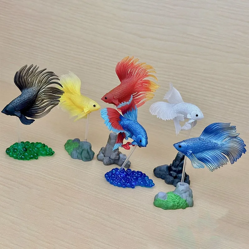 Original STASTO Japan Gashapon Figure Anime Cute Betta Fish Model Bettas Action Figurine Capsule Toys Creative Gift