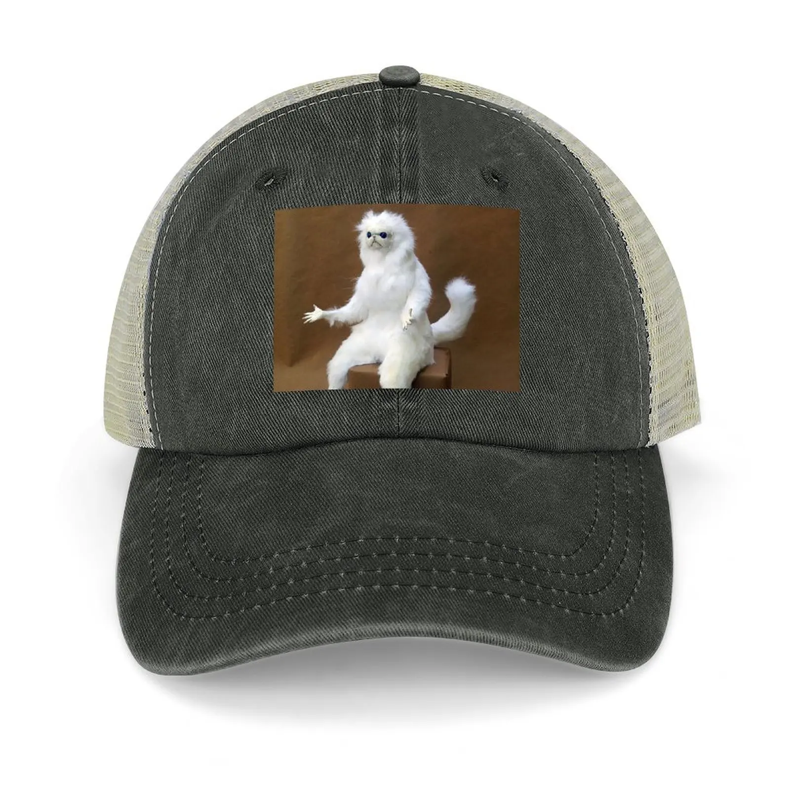 

Persian Cat Room Guardian Baseball Cap party Hat summer hat Hat Man For The Sun Baseball Men Women's