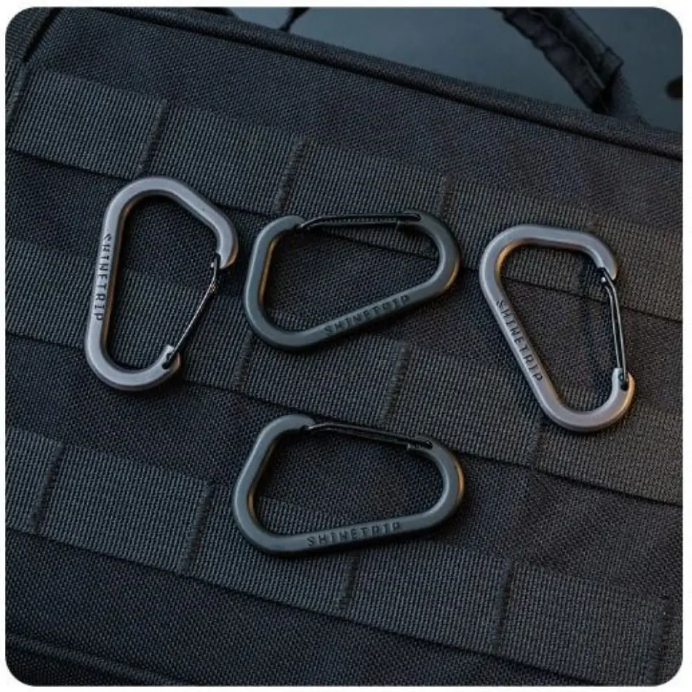2 Peças Mosquetão de Aço Inoxidável com Mola, Fivela de Conexão em D de Metal para Segurança, Preto/Cinza, Armazenamento de Ferramentas Pequenas