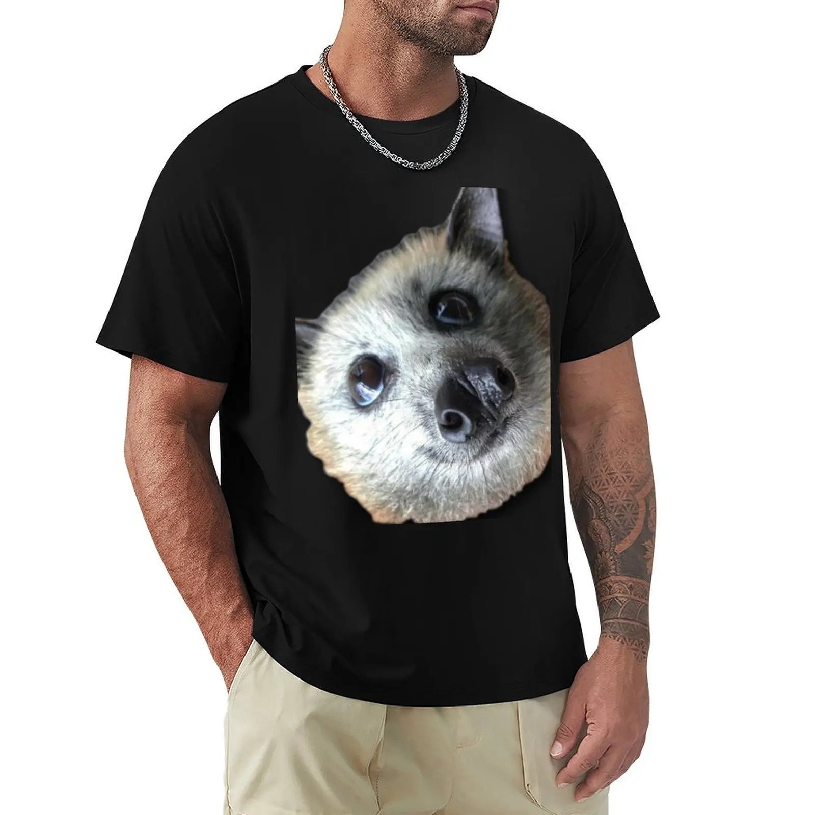 Hermoso murciélago volador de cabeza gris, Sinbad. Camiseta Básica de Corte Regular Informal