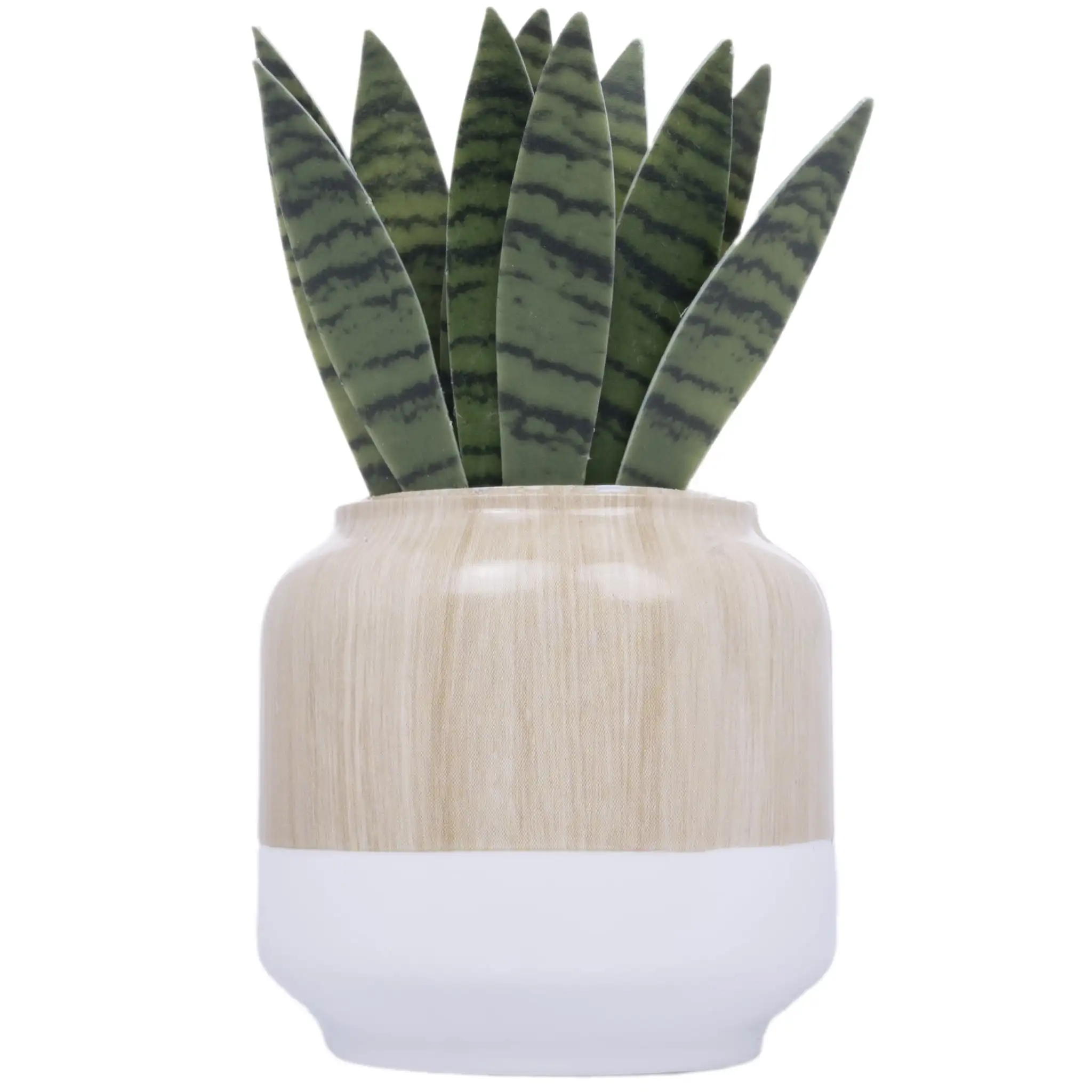 Aroma Accents Fragrance Plug, Snake Plant, Modern, Farmhouse