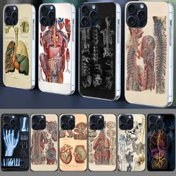 Medical Human Organs Brain Capa Phone Case For Iphone 17 Air 16 Pro Max 15 12 Pro 14 Plus 17E 16E 11 13 Mini Cover Cases Fundas