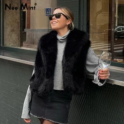 Neo Mint Faux Fur Vest Women 2024 Winter Warm Fake Fox Fur Sleeveless Jacket Coats Chic Fluffy Waistcoat Autumn Outerwear Gilets