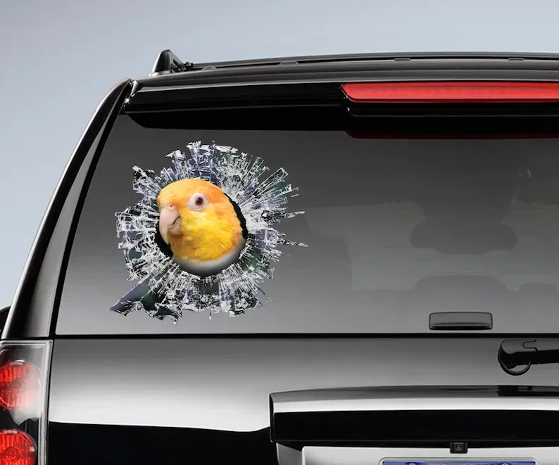 Autocollant de fenêtre de voiture Caique rouillé, autocollant de voiture de perroquet, autocollant drôle