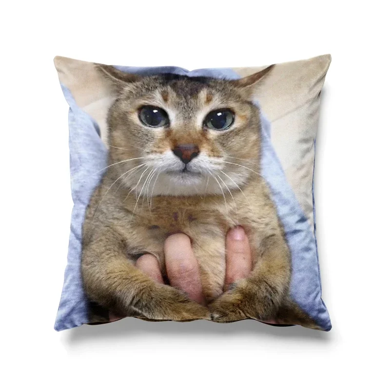 Aertemisi 18'' x 18'' Tole Tole Cat Mei Mei Cat Square Throw Pillow Cushion Covers Cases Pillowcases for Sofa 45cm x 45cm