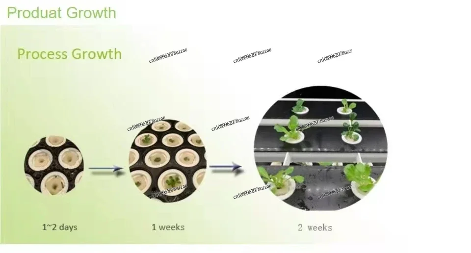 Low Cost Commercial and Eco-friendly Hydroponics Growing System Indoor Smart Vegetables Planting Machine