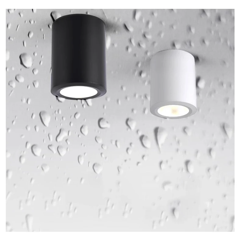 

Outdoor Waterproof LED Ceiling Lamp Round Home Lights IP65 Waterproof Surface Mounted Ceiling Down Light