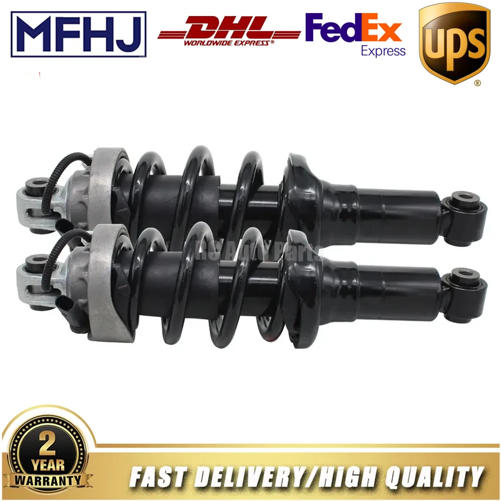 Pair Rear Suspension Shock Absorbers For Audi R8 2007-2015 420512019J 420512020J