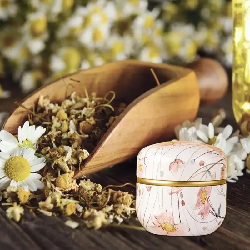 مقاومة للصدأ الشاي القصدير المحمولة صفيح صندوق تخزين مختومة الحلوى وجبات خفيفة علبة قهوة للسفر المطبخ استخدام Y5GB #2