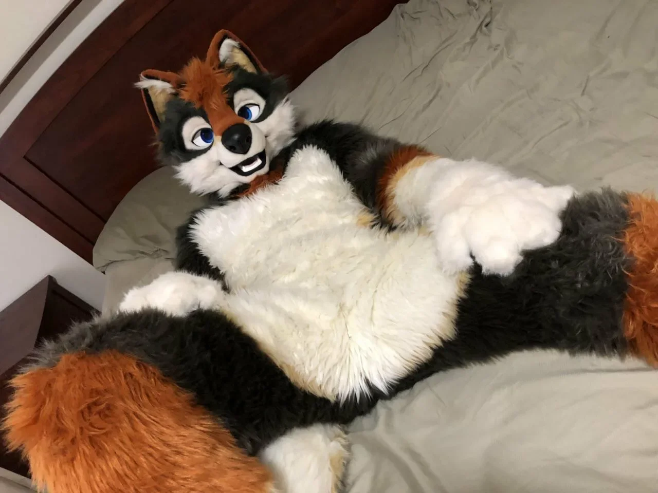 

Костюм-маскот из длинного пушистого меха (коричневый, серый, белый) в виде собаки хаски, волка, лисы, для взрослых, в стиле мультяшного персонажа, для реалистичных игр, на Рождество