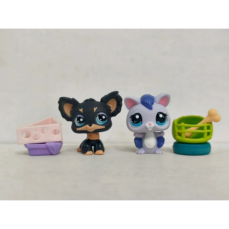 2pcs/lot LPS Figure Black Dog Blue Squirrel W/Accessories Littlest Pet Shop toy #243