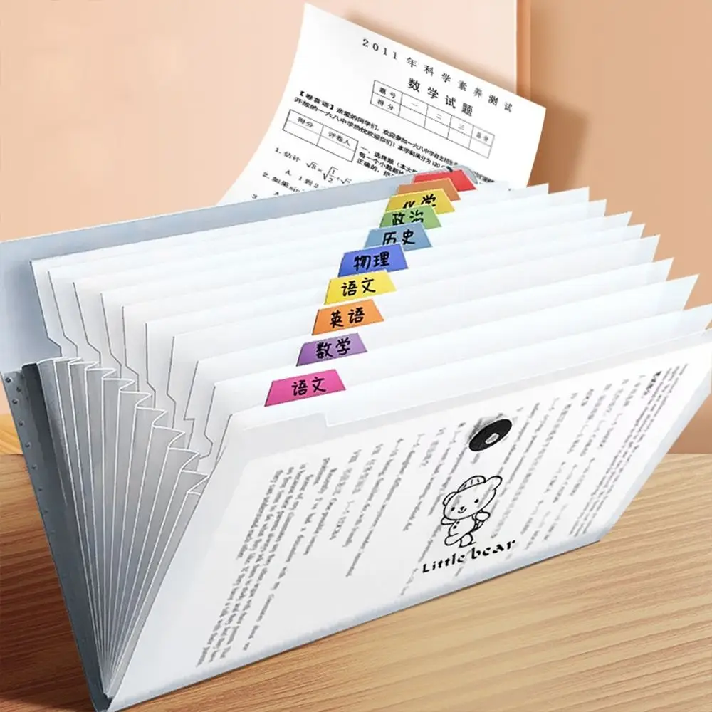 Cartella espandibile per cartoni animati Borsa per organo A4 Organizzatore di file Cartella di file A4 ad alta capacità Carta di prova traslucida impermeabile