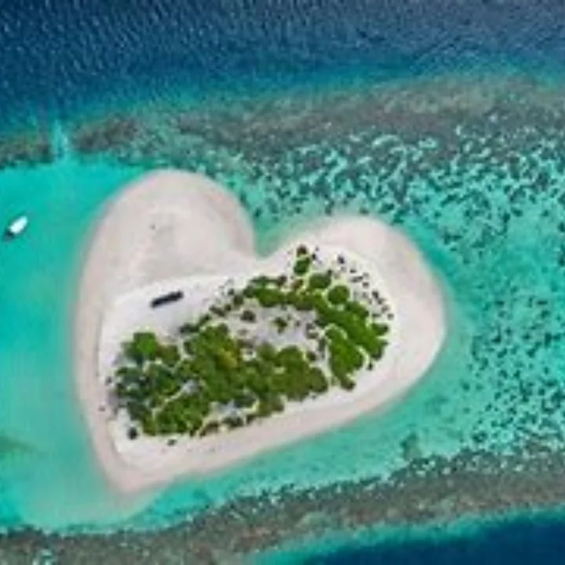 

1 set of mud Flaps Fender decorations for Tamiya 1/14 RC truck tractor Trailer car Tipper SCANIA Actros MAN VOLVO DIY Upgrade