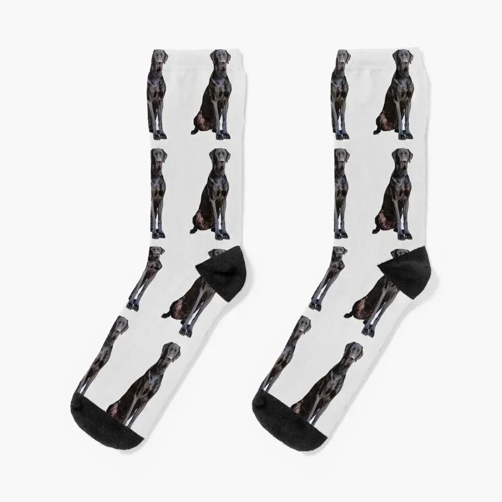 

Great Dane Stunning Black Dog of Elegance Socks sports stockings soccer anti-slip Stockings bright garter Mens Socks Women's