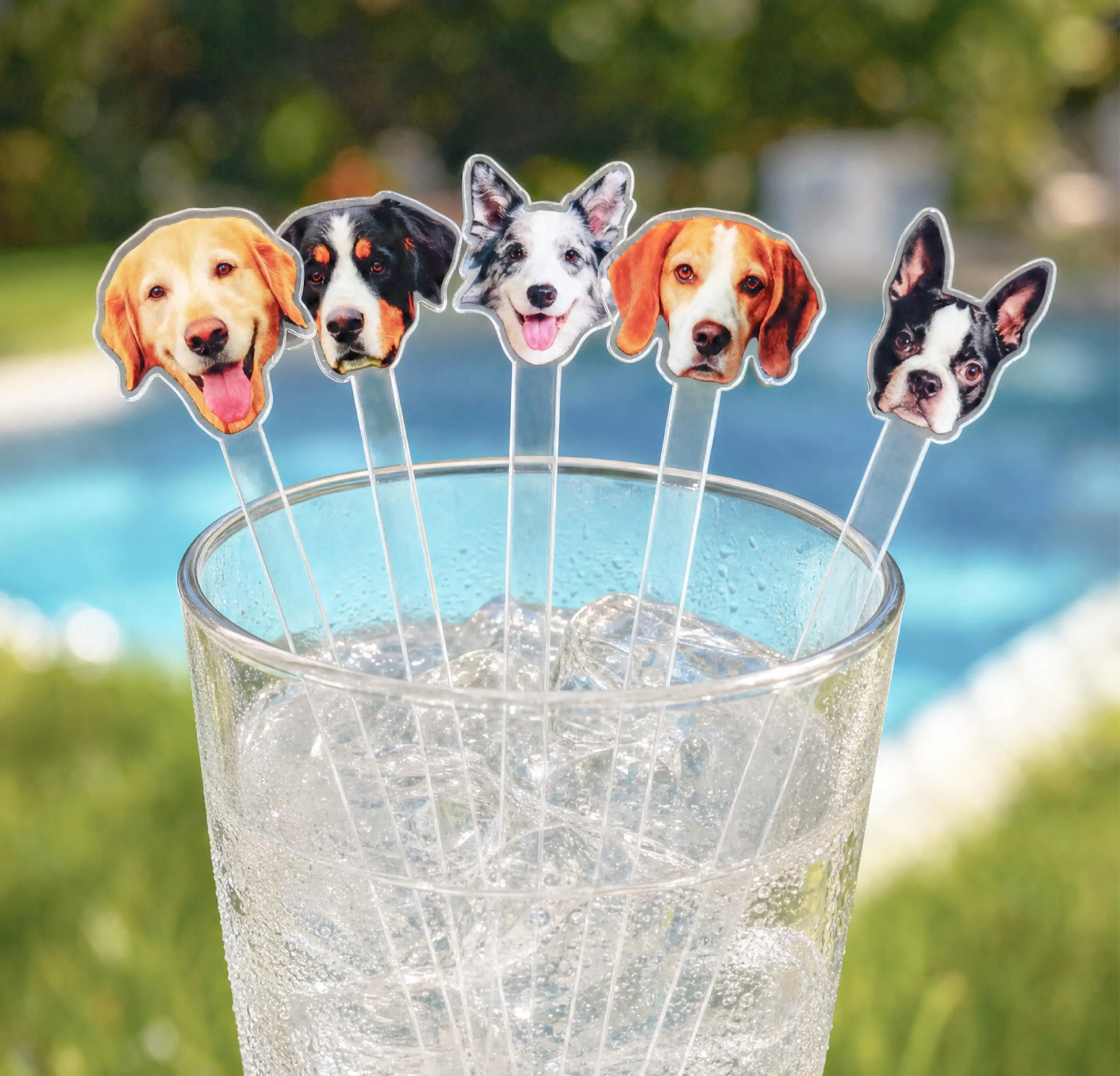 Custom Pet Photo Drink Stirrers Personalized Acrylic Cocktail Sticks Wedding Party Dog Cat Lovers Signature Cocktail Bar 25PCS