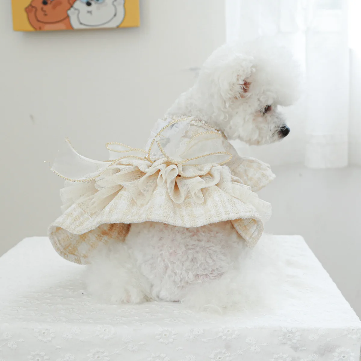 Schickes Haustier-Partykleid mit Spitze, Schleife und Puffärmeln aus Chiffon, Elegante Hundekleidung für Kleine Hunde und Katzen, Haustierzubehör