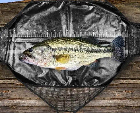 Picture 4: Photographed Fishing Unhooking Mat Measuring Sling Fish Bags Fish Care Fishing Unhooking Mat Measure Sling Waterproof Fish Bags