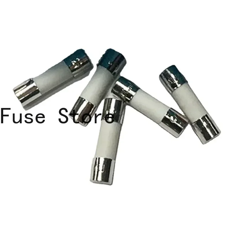 10PCS 5*20mm Double Cap Ceramic Fuse Tube With Lead Fast Break, Slow Break Type 500MA 0.5A 250V