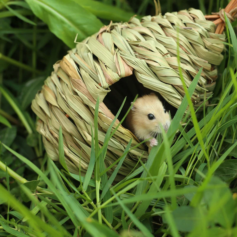 Straw Bird's Nest Cage Outdoor Warm Bird Nest And Bird House Pet Products Decoration Nest Grass Hanging Nest Cage Parrot Cage