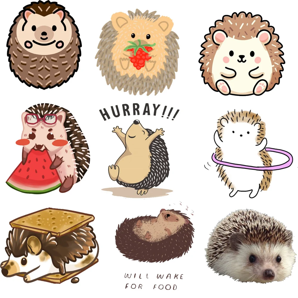 Funny Hedgehog Sticker on Clothes DIY Washable Iron on Transfer for Clothing Bag Colorful Patch on Clothes Hat Appliqued