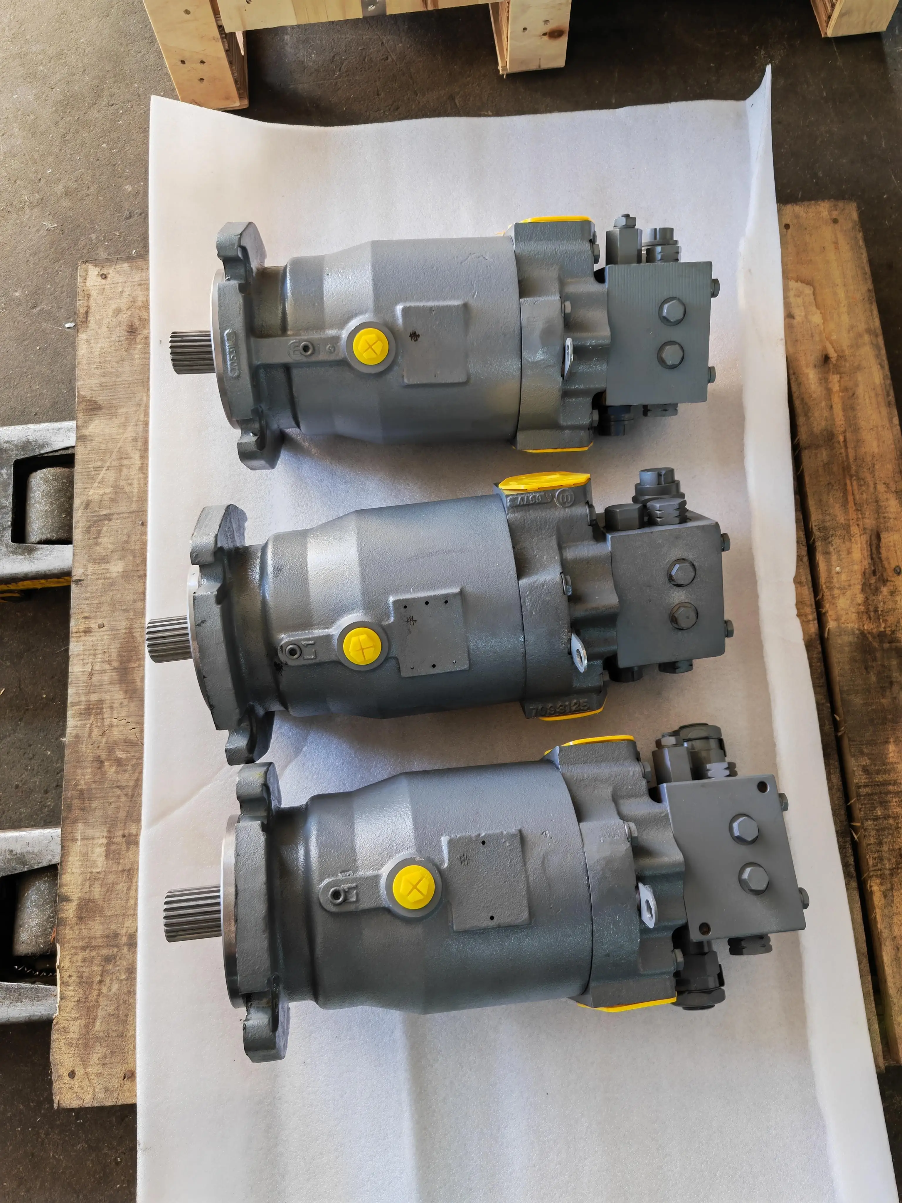 PV10 PV15 PV20 PV29 Serie PV202R1EC00 Pompa idraulica a pistoni ad alta pressione PV22-650