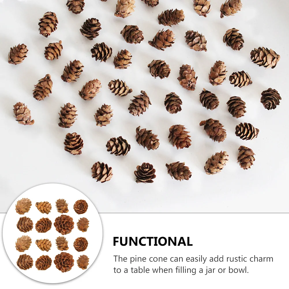 100 Pcs Songhwa Photo Props Wooden Pine Cone Cones کرسمس ornament Mini Fall Decorations for Home Garland مصنوعی پودے