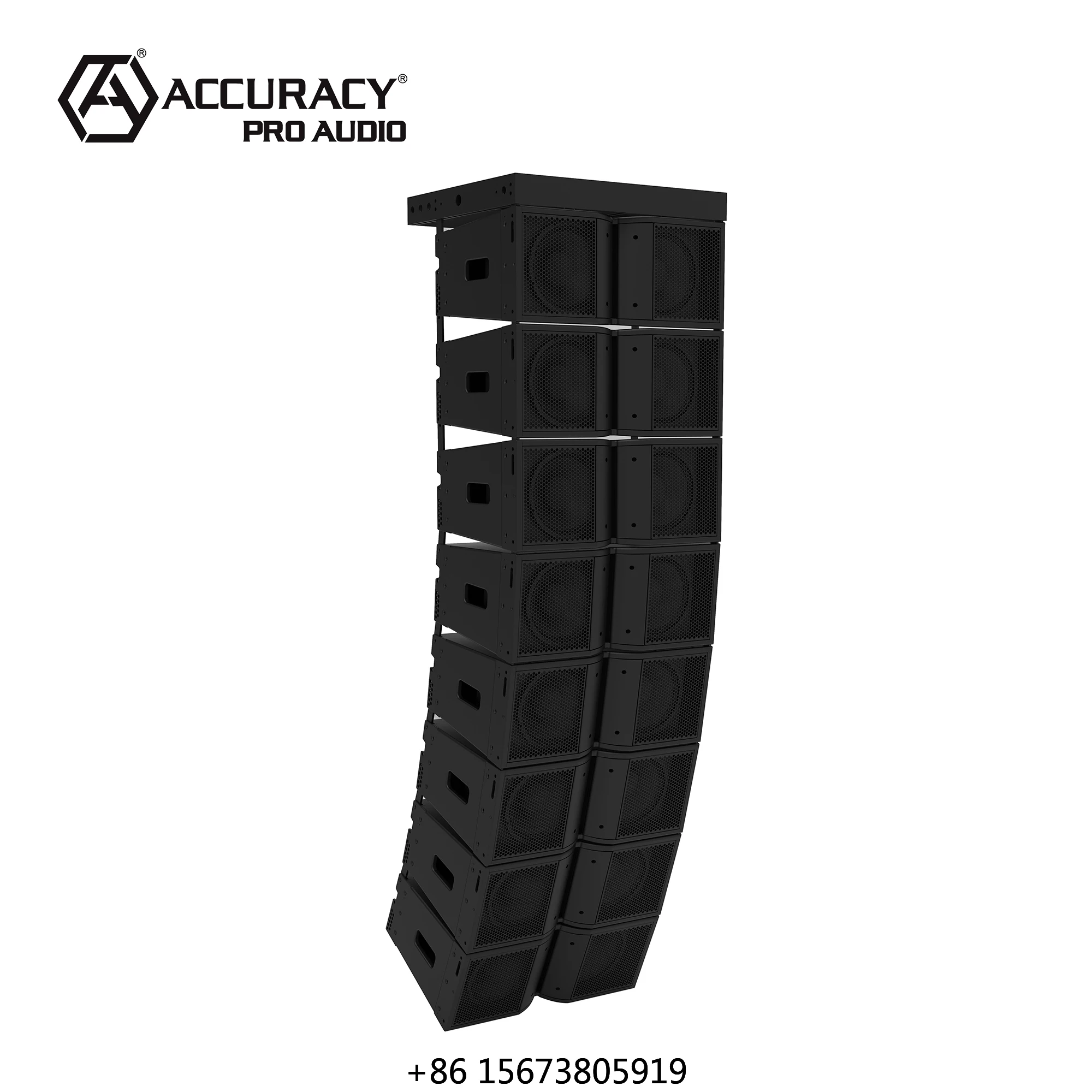 

Профессиональная акустическая система Accuracy Pro Audio LA210: мощный неодимовый пассивный концертный динамик для сцены, линейный массив