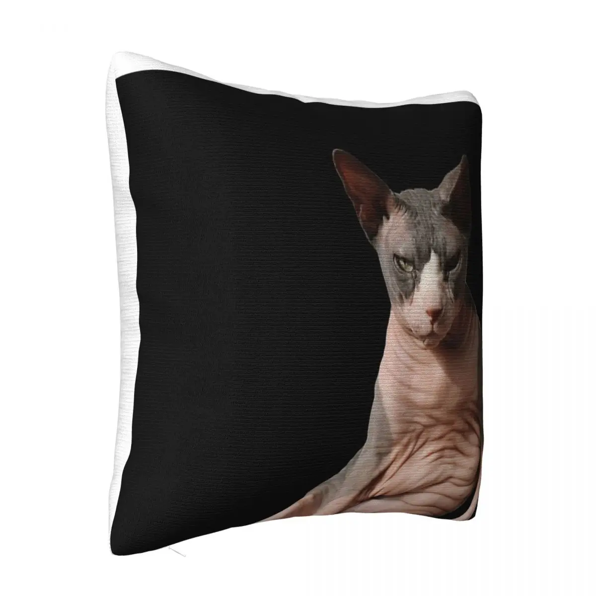 Giant Hairless Cat Pillow Cover Decorative Pillow Room Decorating Items Pillow Case Pillow Cover