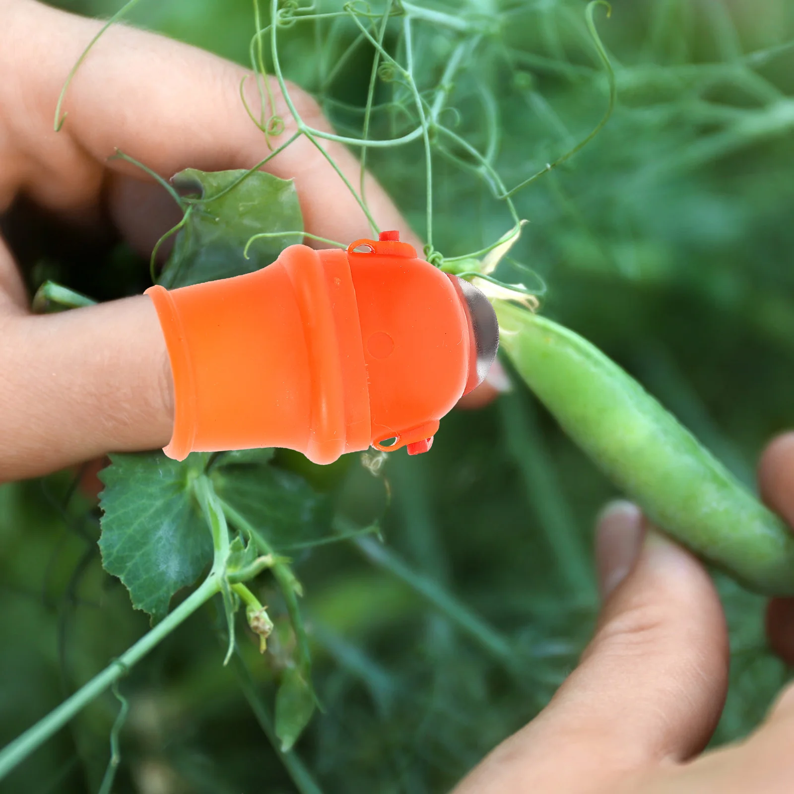 

Pepper Picker Gardening Pinch Tip Fruit Picking Device Thumb Plants Tool Silicone Finger Protector Silica Gel