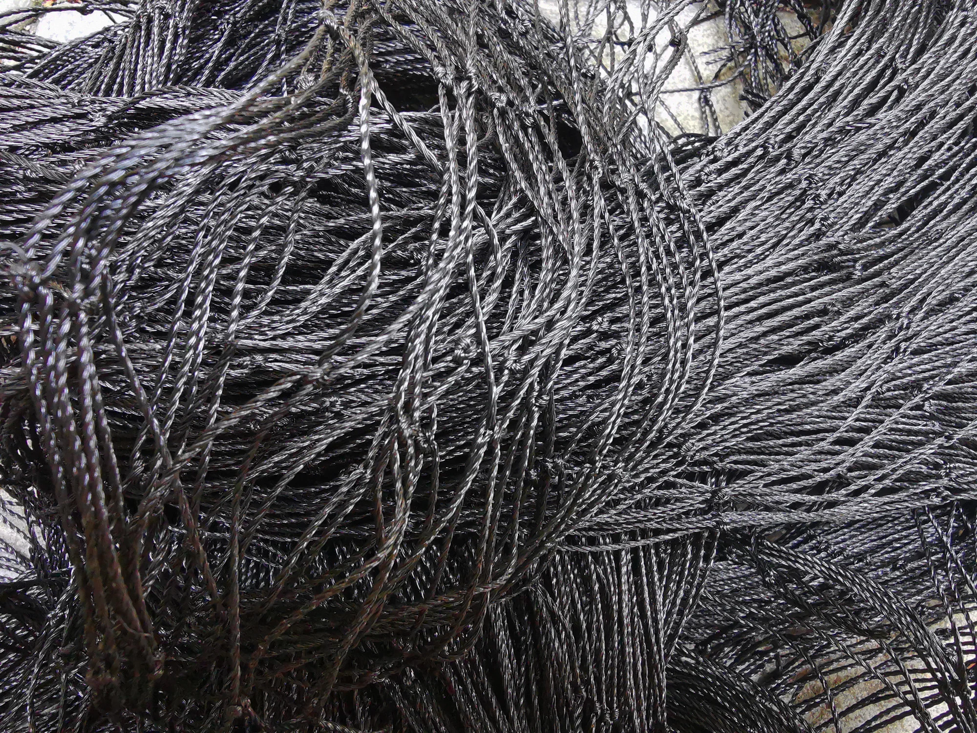 2cm Mesh Heavy Duty Anti Bird Netting-Black Garden Net Mesh for Prevent Plants Shelves Greenhouse Vegetable from Dog and Cats
