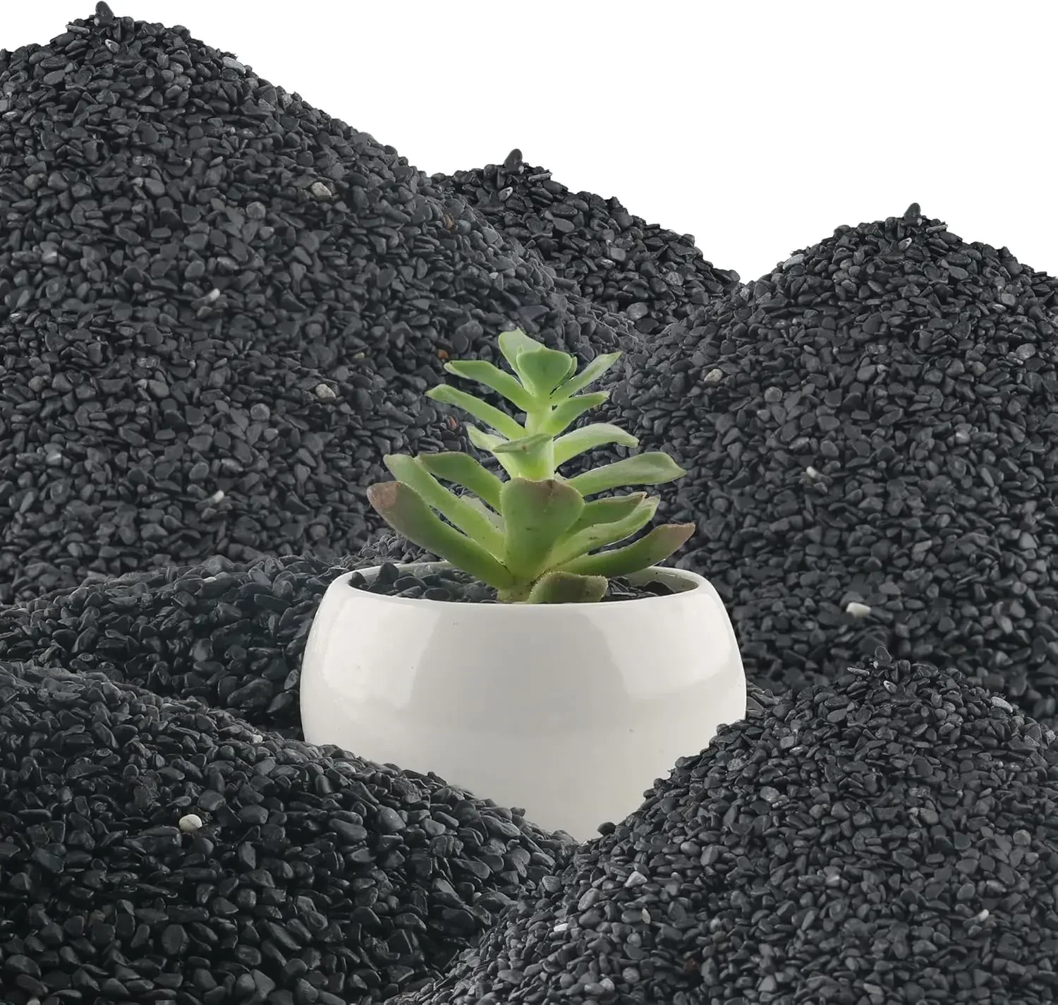 

45lb Black Cactus Pea Gravel Rocks,1/4 Inch Pebbles for Indoor Plants, Natural Succulent Rock and River Rocks Decorative for Aqu