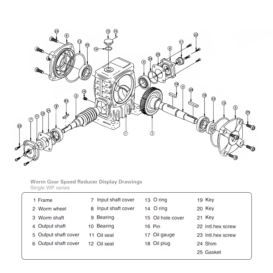 WPDA WPDS WPDO WPDX50 60 70 80 100 120 135 Worm Gear Reducer