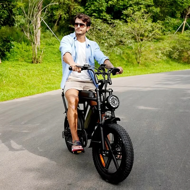 Bici ibrida elettrica 48v Bicicletta elettrica V8 Fatbike Stock UE Pronto per la spedizione Ebike 1000W 15Ah