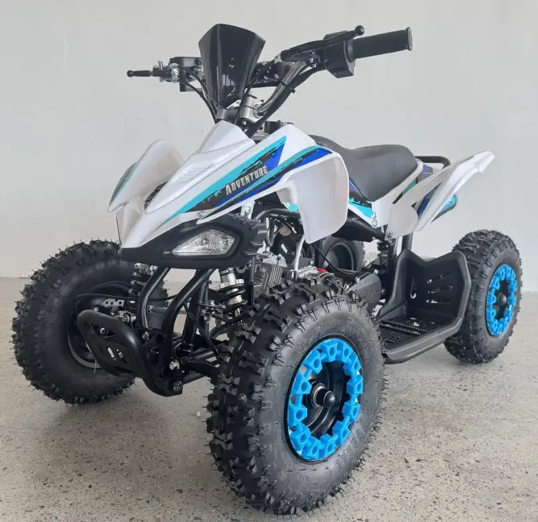 Custom Factory Direct 110cc Gas Powered ATVs 2WD 49cc 100CC 250cc Quad for Adults Shaft Drive Transmission System