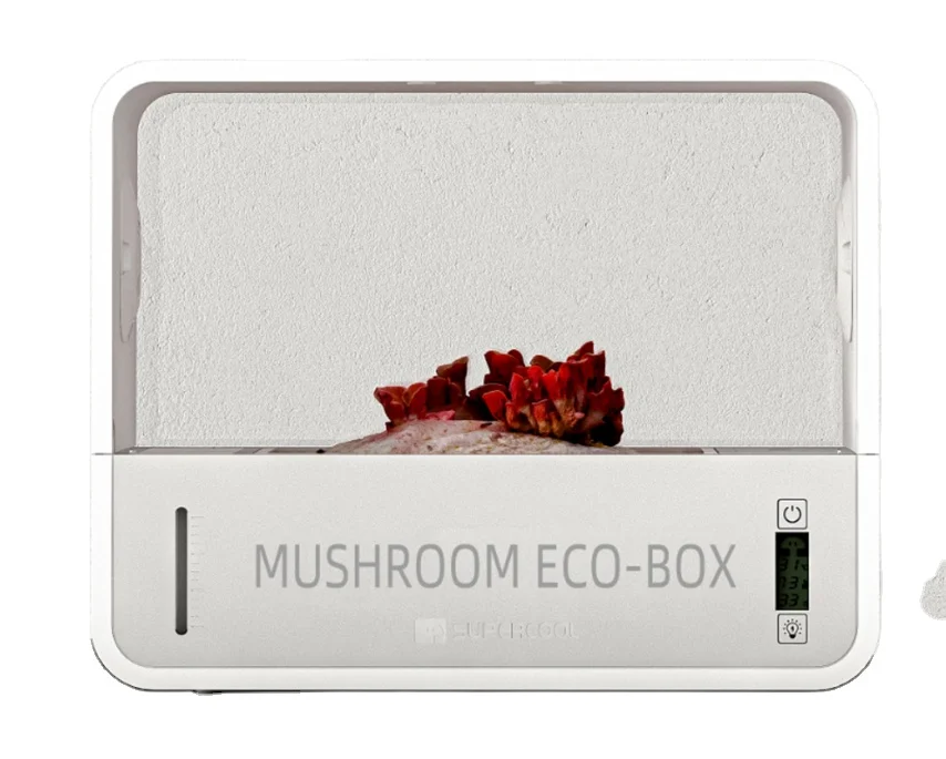 

Mushroom farming equipment Mushroom planting container -51