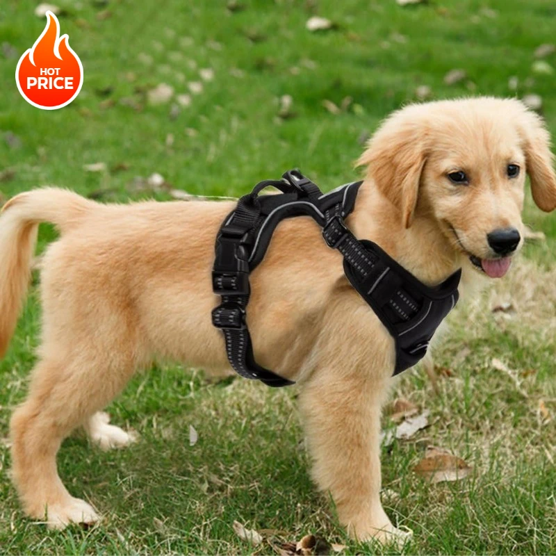 Neues reflektierendes, verstellbares, atmungsaktives Weste-Geschirr ohne Ziehen, weiche Riemen für kleine, mittelgroße und große Hunde, Katzen, Welpen, Hundezubehör