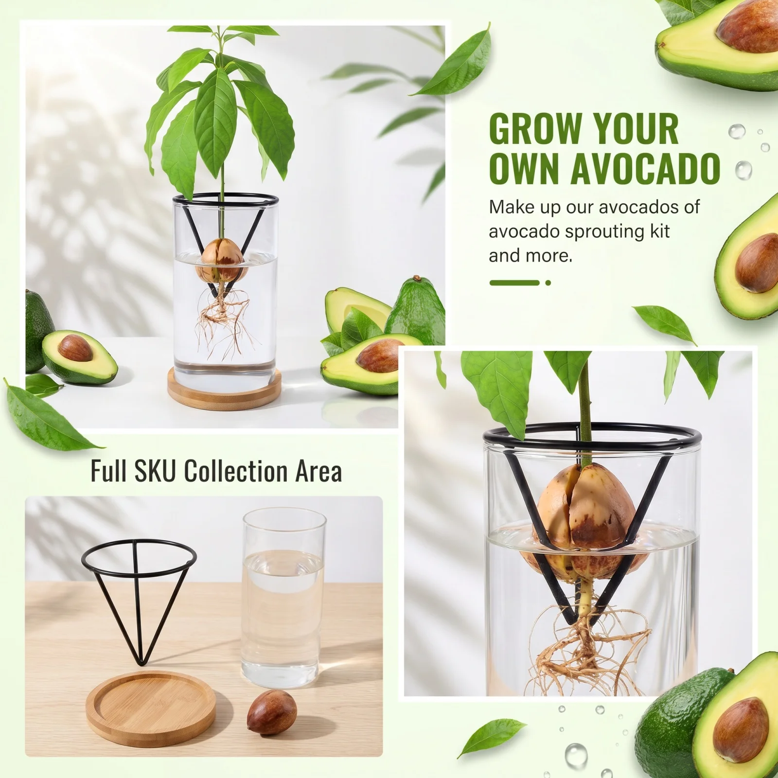 Hydroponic Seed Stand Triangular Metal Stand Cone-shaped Avocado Growing Holder Soil-less Hydroponic Rack Garden Supplies ﻿